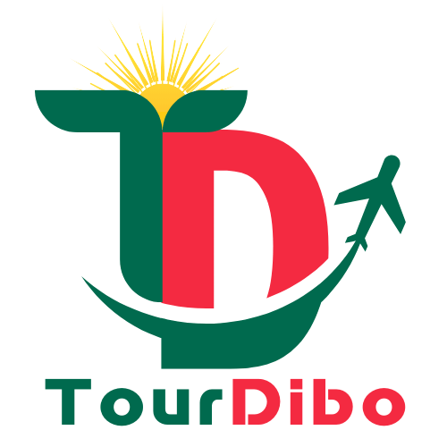 TourDibo Logo - Your Trusted Travel Partner